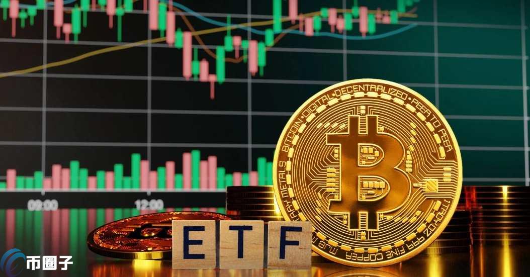 鲨鱼鳍和雪球的区别是什么？