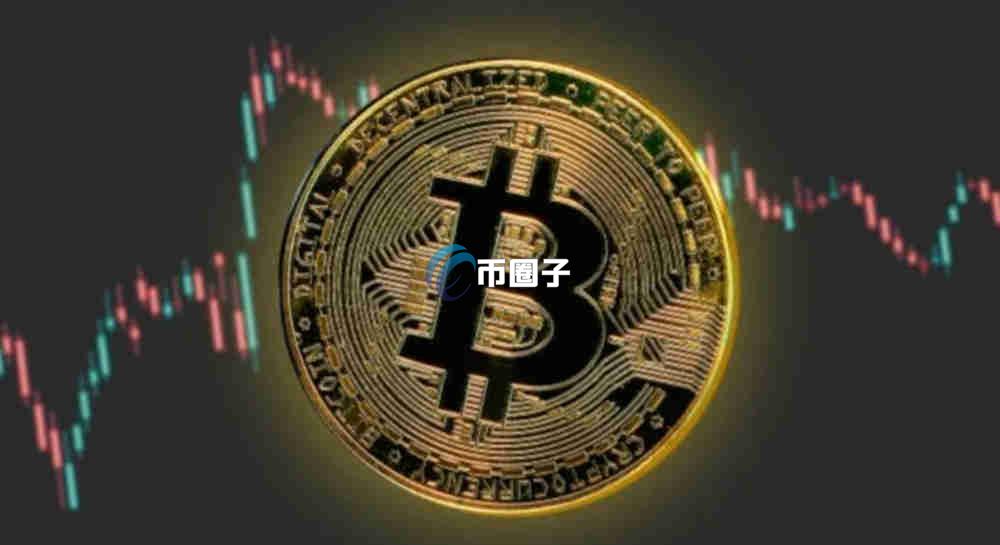 币圈合约带单交易员都赚钱吗？