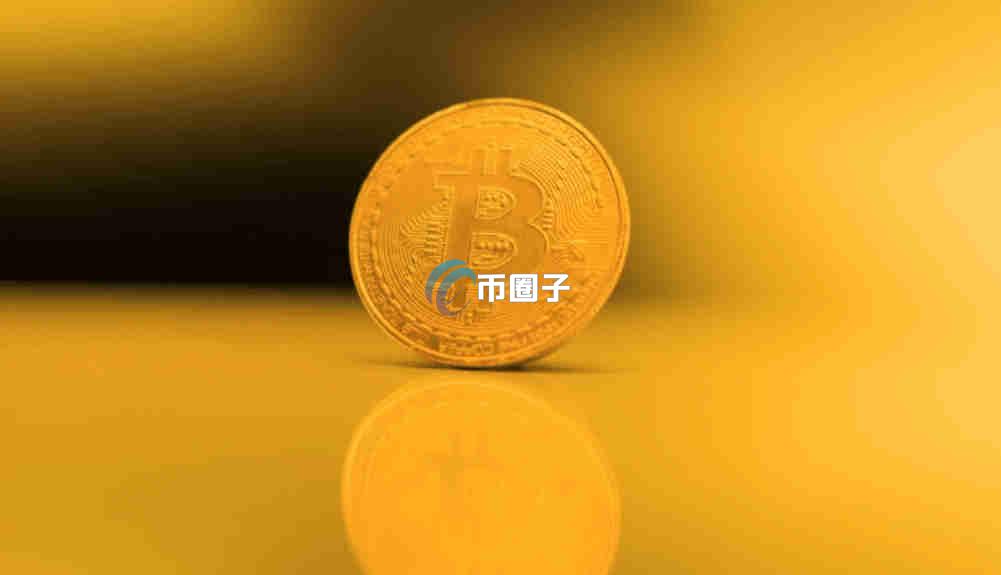 币圈在哪里看持仓情况数据？