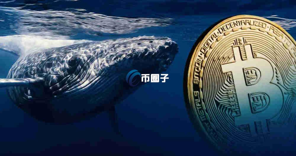 存币生息可靠吗？持币生息的风险有哪些？