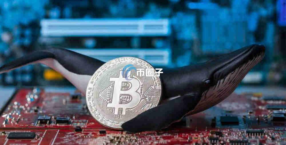 货币合约盈利划转不了怎么办？