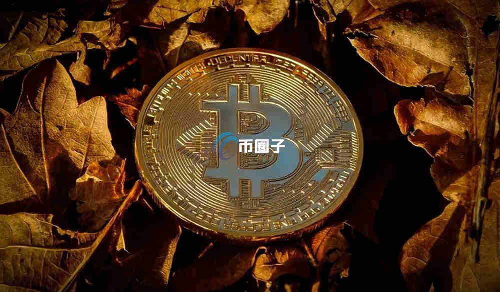 虚拟币钱包转账手续费最低多少钱？贵吗？