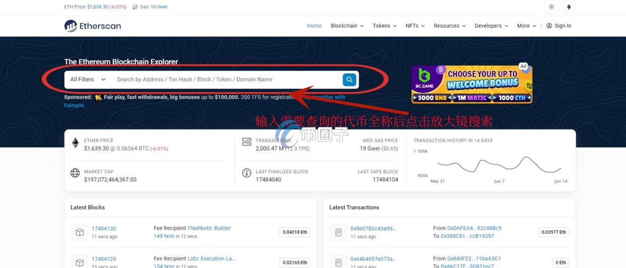 如何查看一个币的合约地址？