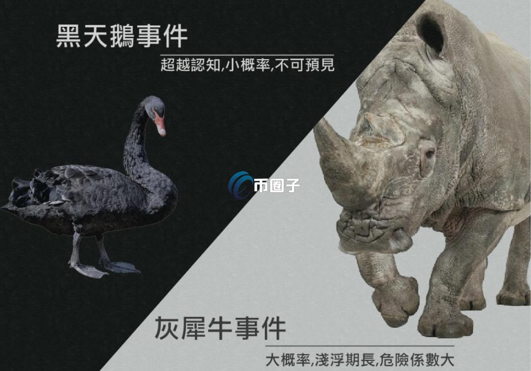 币圈灰犀牛事件和黑天鹅事件的区别在哪里？
