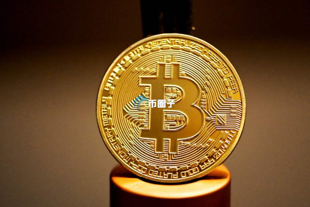 空投的币钱包里没这个币种怎么办？