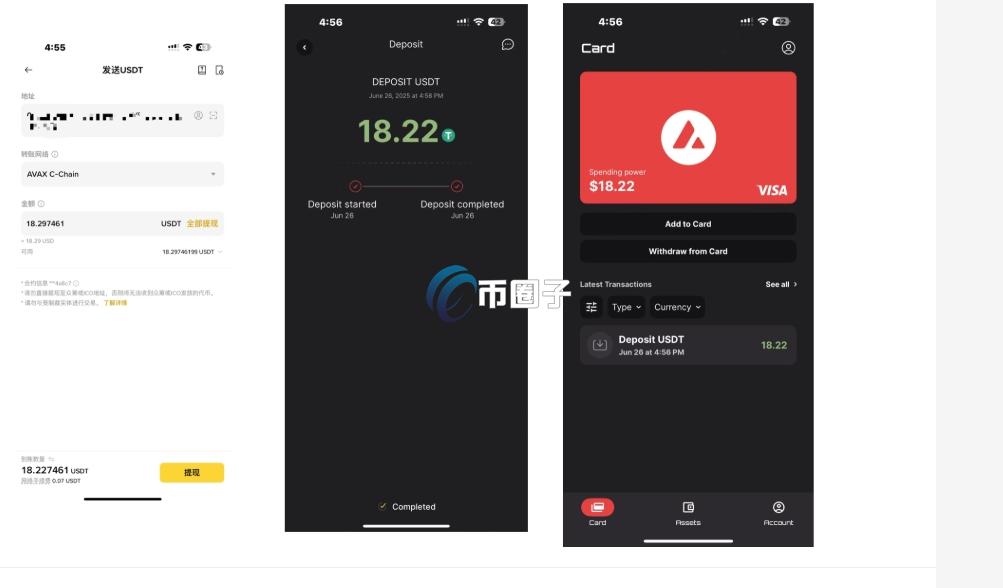 雪崩卡是什么意思？一文彻底了解U卡之AVAX雪崩卡