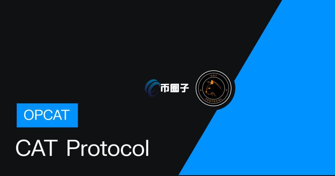 什么是CAT Protocol？全面介绍CAT Protocol
