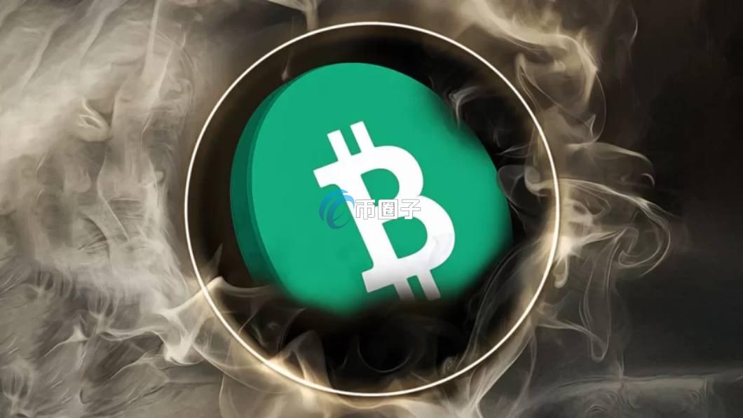 深入剖析全节点和轻节点有什么区别和联系