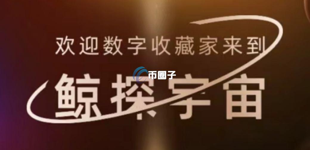 详细解析鲸探数字藏品未来会升值吗？