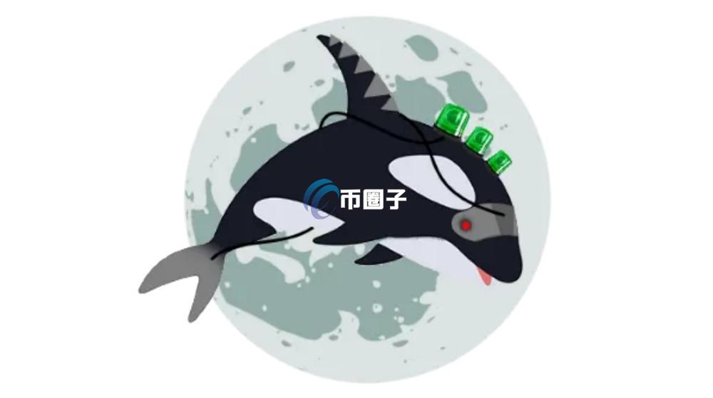 Whale Alert是什么平台？一文了解Whale Alert检测