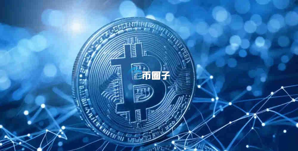 哪种链上数据可公开查看？