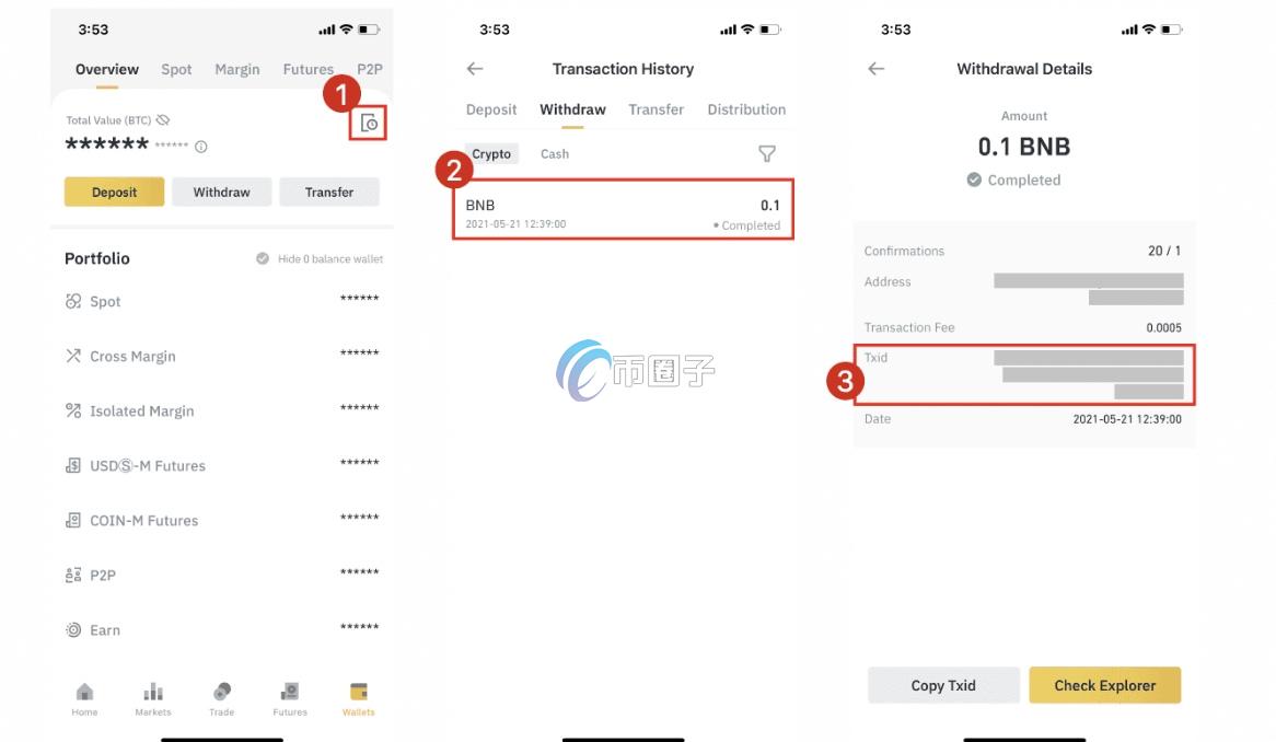 TXID哈希值怎么查询？TXID查询步骤图文版