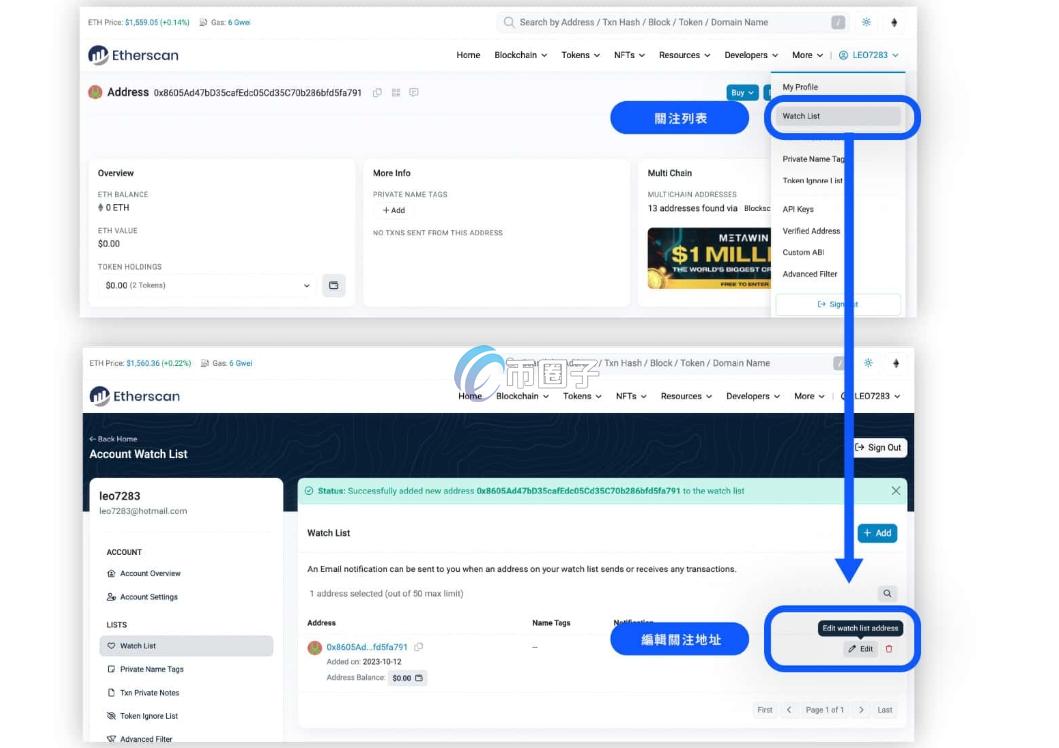 如何通过区块浏览器查询持币地址？