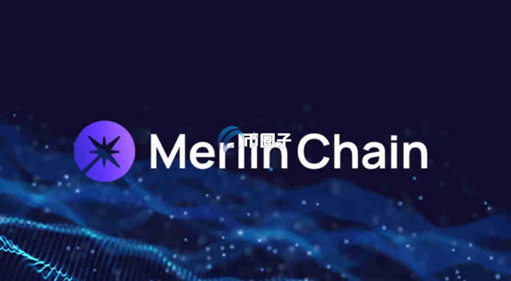 梅林链是国内还是国外项目？一文了解