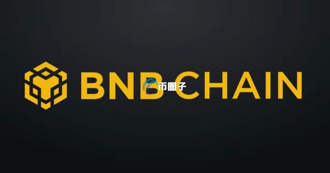 BNB Chain是什么链？深入介绍BNB Chain链