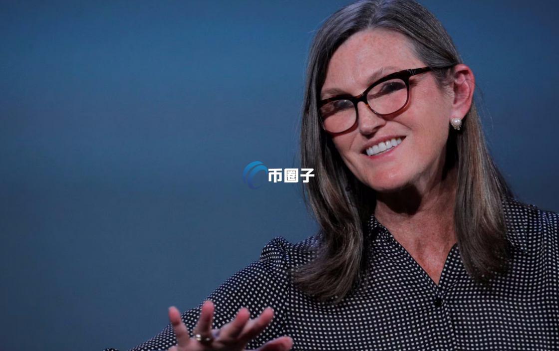 Cathie Wood是谁？木头姐Cathie Wood简单介绍