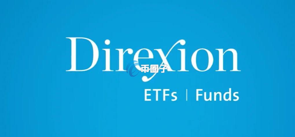Direxion是什么公司？Direxion公司全面介绍