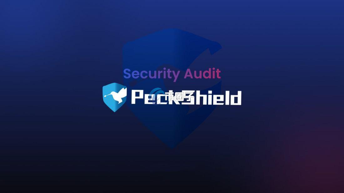 派盾安全审计怎么样？派盾安全公司简介