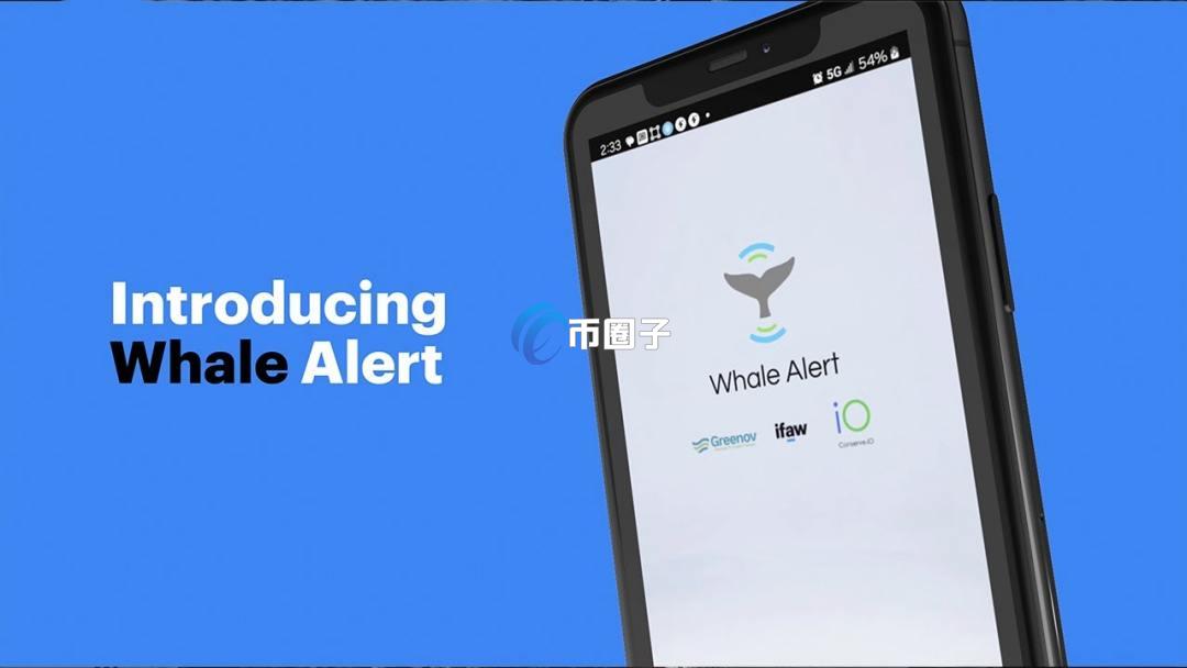 Whale Alert是什么平台？一文了解Whale Alert检测
