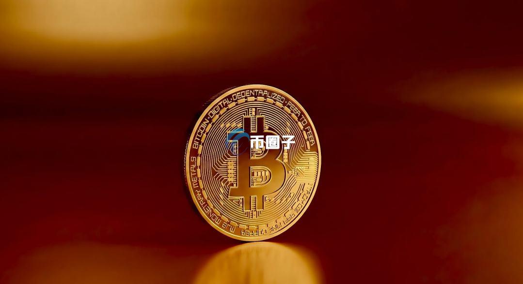 币圈灰犀牛事件是什么意思？