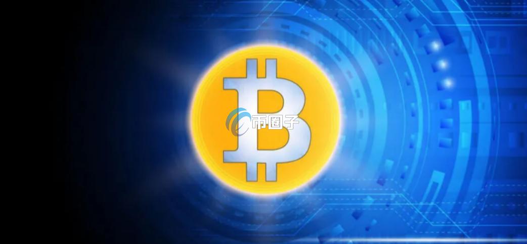 一文了解持有多少币算是鲸鱼？