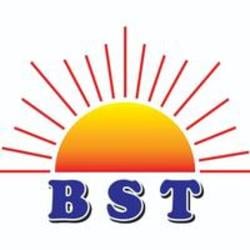 BSTLOGO图片