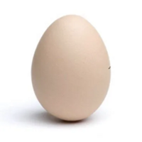 $EGGLOGO图片