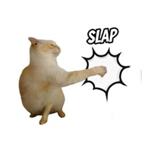 SLAPLOGO图片