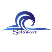 SOLAWAVELOGO图片