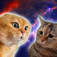 TWOCATLOGO图片