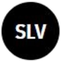 DSLVLOGO图片