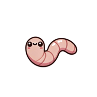 WORM