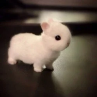 BUNILOGO图片