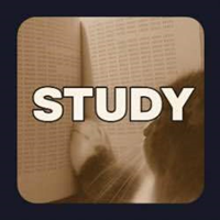 STUDYLOGO图片