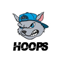 HOOPSLOGO图片