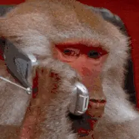 MONKEPHONELOGO图片