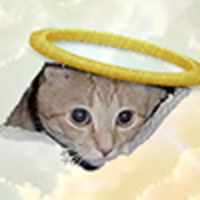 CEICATLOGO图片