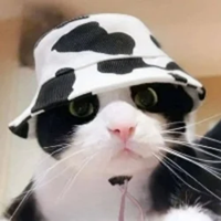 MOOCATLOGO图片