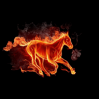 FIREHORSELOGO