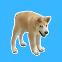 DOGGOLOGO图片