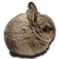 BUNLOGO图片