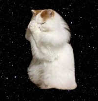 CONVICTIONLOGO图片