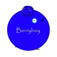 BERRYBOY币