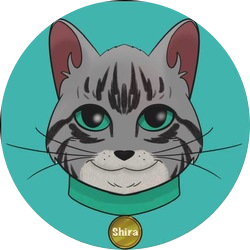 CATSHIRALOGO图片