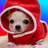 PUPPERSLOGO图片
