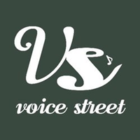 VSTLOGO图片