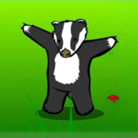 BADGERLOGO图片