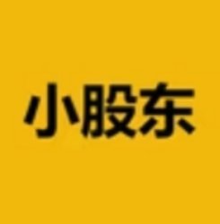 小股东LOGO图片