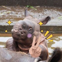 DEKOPONLOGO图片