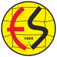ESESLOGO图片
